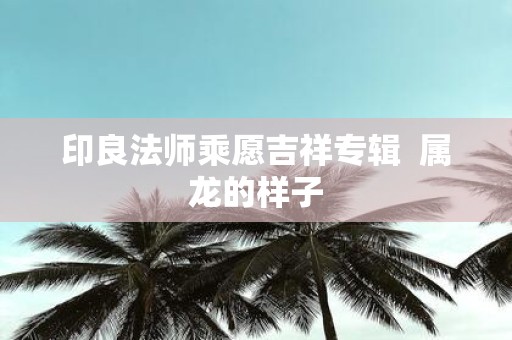 印良法师乘愿吉祥专辑 属龙的样子
