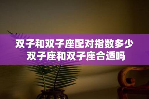 双子和双子座配对指数多少 双子座和双子座合适吗