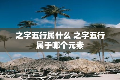 之字五行属什么 之字五行属于哪个元素