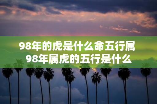 98年的虎是什么命五行属 98年属虎的五行是什么