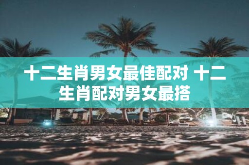 十二生肖男女最佳配对 十二生肖配对男女最搭