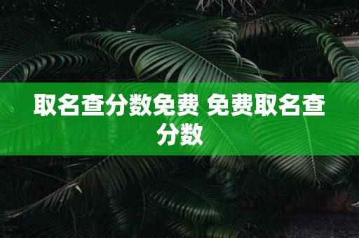 取名查分数免费 免费取名查分数