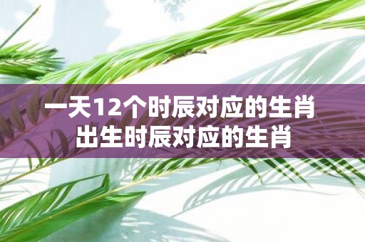 一天12个时辰对应的生肖 出生时辰对应的生肖