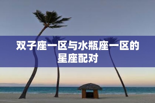 双子座一区与水瓶座一区的星座配对
