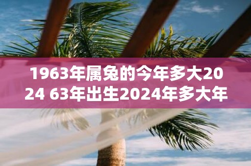 1963年属兔的今年多大2025 63年出生2025年多大年龄