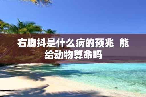 右脚抖是什么病的预兆 能给动物算命吗