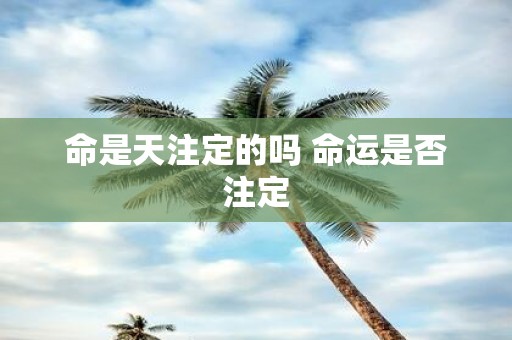命是天注定的吗 命运是否注定