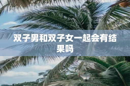 双子男和双子女一起会有结果吗