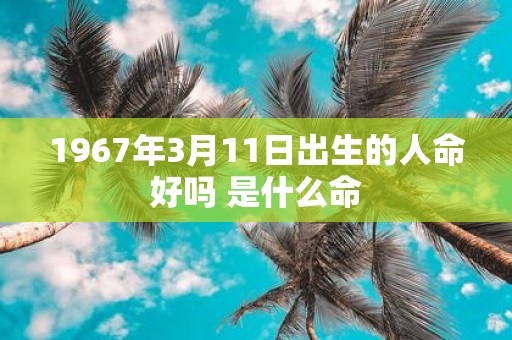 1967年3月11日出生的人命好吗 是什么命