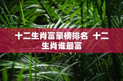 十二生肖富豪榜排名 十二生肖谁最富