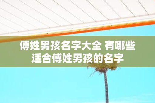 傅姓男孩名字大全 有哪些适合傅姓男孩的名字