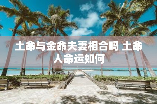 土命与金命夫妻相合吗 土命人命运如何