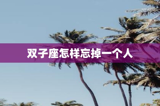 双子座怎样忘掉一个人