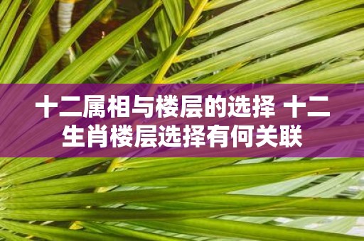 十二属相与楼层的选择 十二生肖楼层选择有何关联