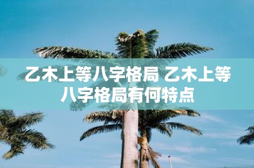 乙木上等八字格局 乙木上等八字格局有何特点