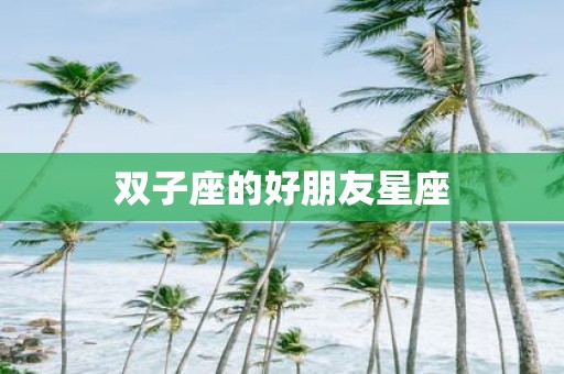 双子座的好朋友星座