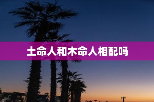 土命人和木命人相配吗