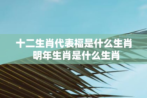 十二生肖代表福是什么生肖 明年生肖是什么生肖
