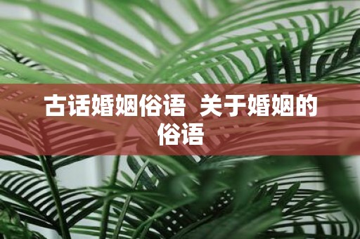 古话婚姻俗语 关于婚姻的俗语