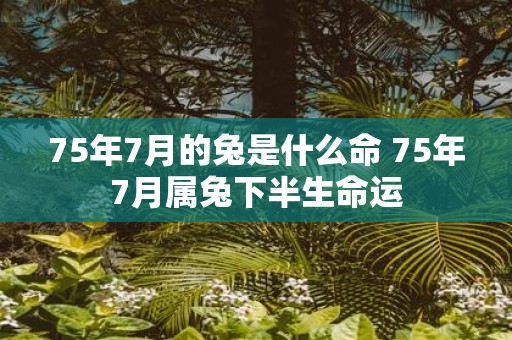 75年7月的兔是什么命 75年7月属兔下半生命运