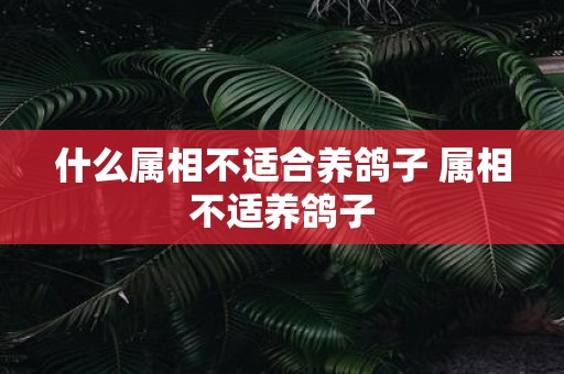 什么属相不适合养鸽子 属相不适养鸽子