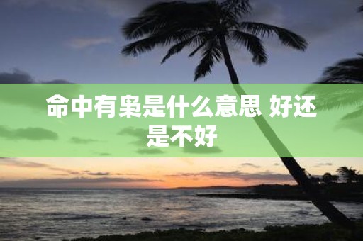 命中有枭是什么意思 好还是不好