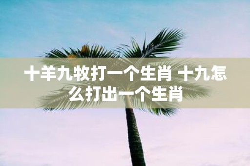 十羊九牧打一个生肖 十九怎么打出一个生肖