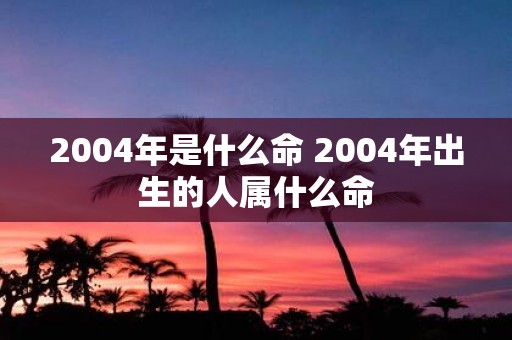 2004年是什么命 2004年出生的人属什么命