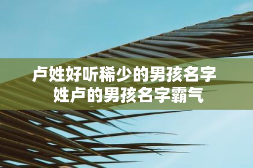 卢姓好听稀少的男孩名字 姓卢的男孩名字霸气