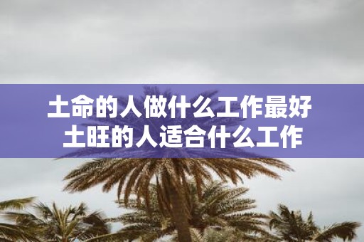 土命的人做什么工作最好 土旺的人适合什么工作
