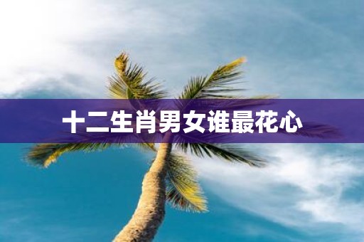 十二生肖男女谁最花心
