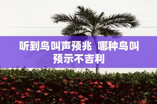 听到鸟叫声预兆 哪种鸟叫预示不吉利