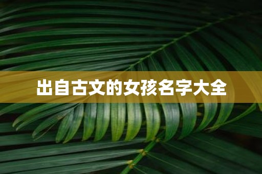 出自古文的女孩名字大全