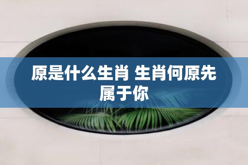 原是什么生肖 生肖何原先属于你