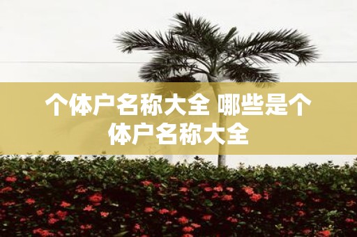 个体户名称大全 哪些是个体户名称大全