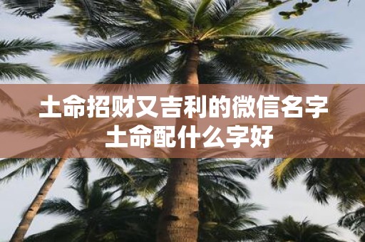 土命招财又吉利的微信名字 土命配什么字好