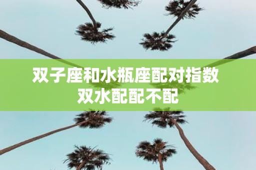 双子座和水瓶座配对指数 双水配配不配