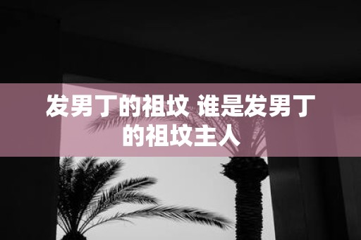 发男丁的祖坟 谁是发男丁的祖坟主人