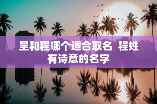 呈和程哪个适合取名 程姓有诗意的名字