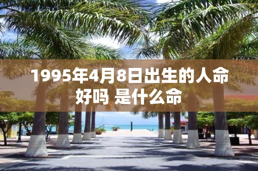 1995年4月8日出生的人命好吗 是什么命