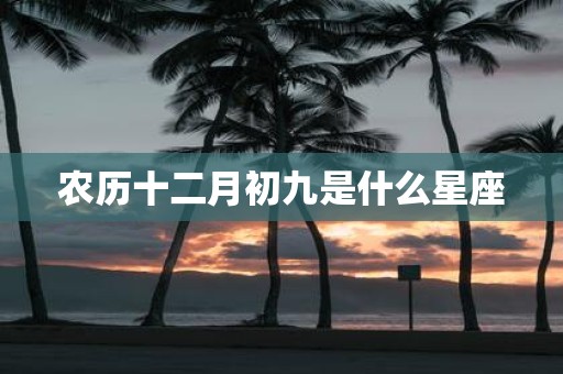 农历十二月初九是什么星座