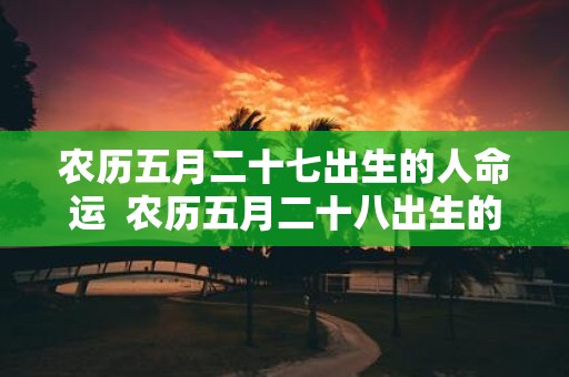 农历五月二十七出生的人命运 农历五月二十八出生的人命运