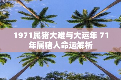 1971属猪大难与大运年 71年属猪人命运解析