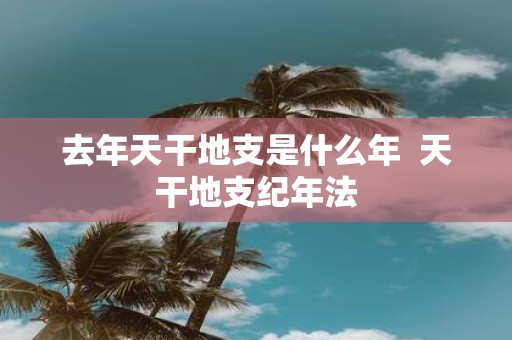 去年天干地支是什么年 天干地支纪年法