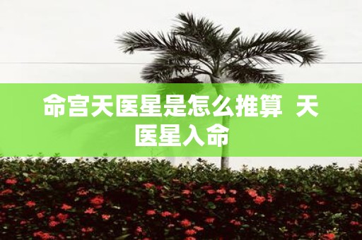 命宫天医星是怎么推算 天医星入命