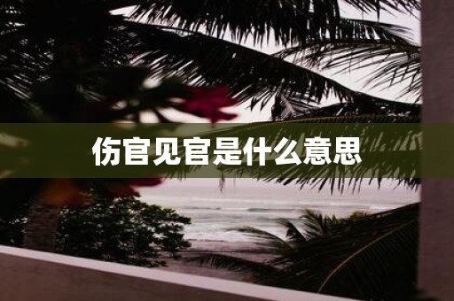 伤官见官是什么意思