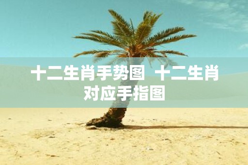 十二生肖手势图 十二生肖对应手指图