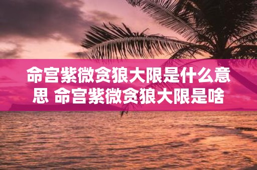 命宫紫微贪狼大限是什么意思 命宫紫微贪狼大限是啥