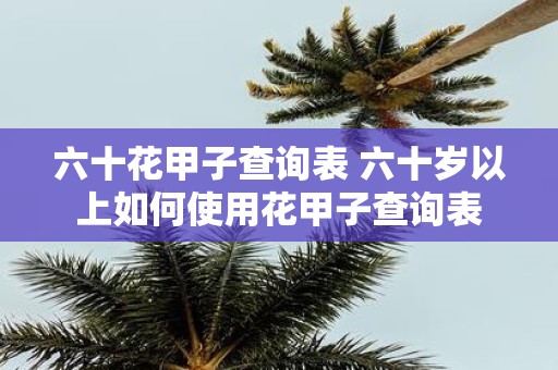 六十花甲子查询表 六十岁以上如何使用花甲子查询表