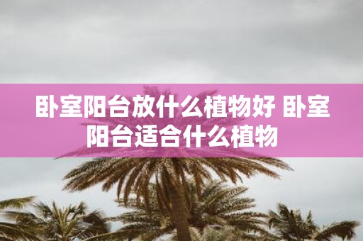 卧室阳台放什么植物好 卧室阳台适合什么植物
